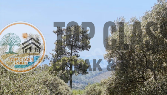 MİLAS KIZILAĞAÇ MAHALLESİNDE DENİZ MANZARALI YATIRIMLIK ARSA