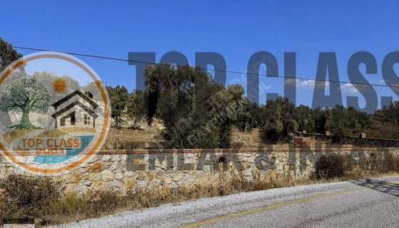 BOZBÜK'TE ANA YOLA SIFIR 3.978m2 ZEYTİNLİ TARLA acil satılık